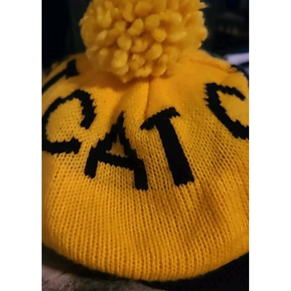 Caterpillar **this cat